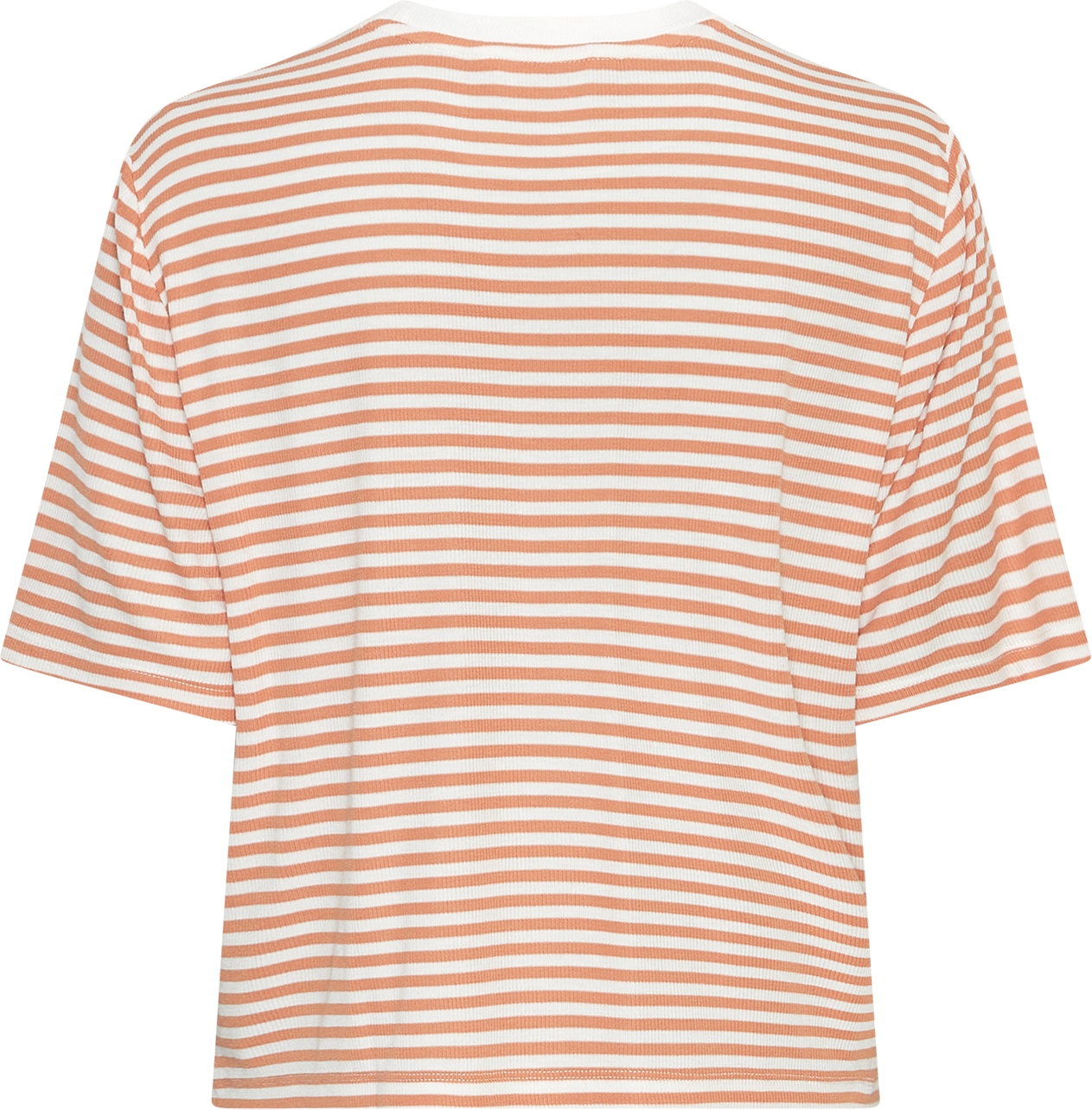 MSCHJana Tee STP – Egret / Caramel, back