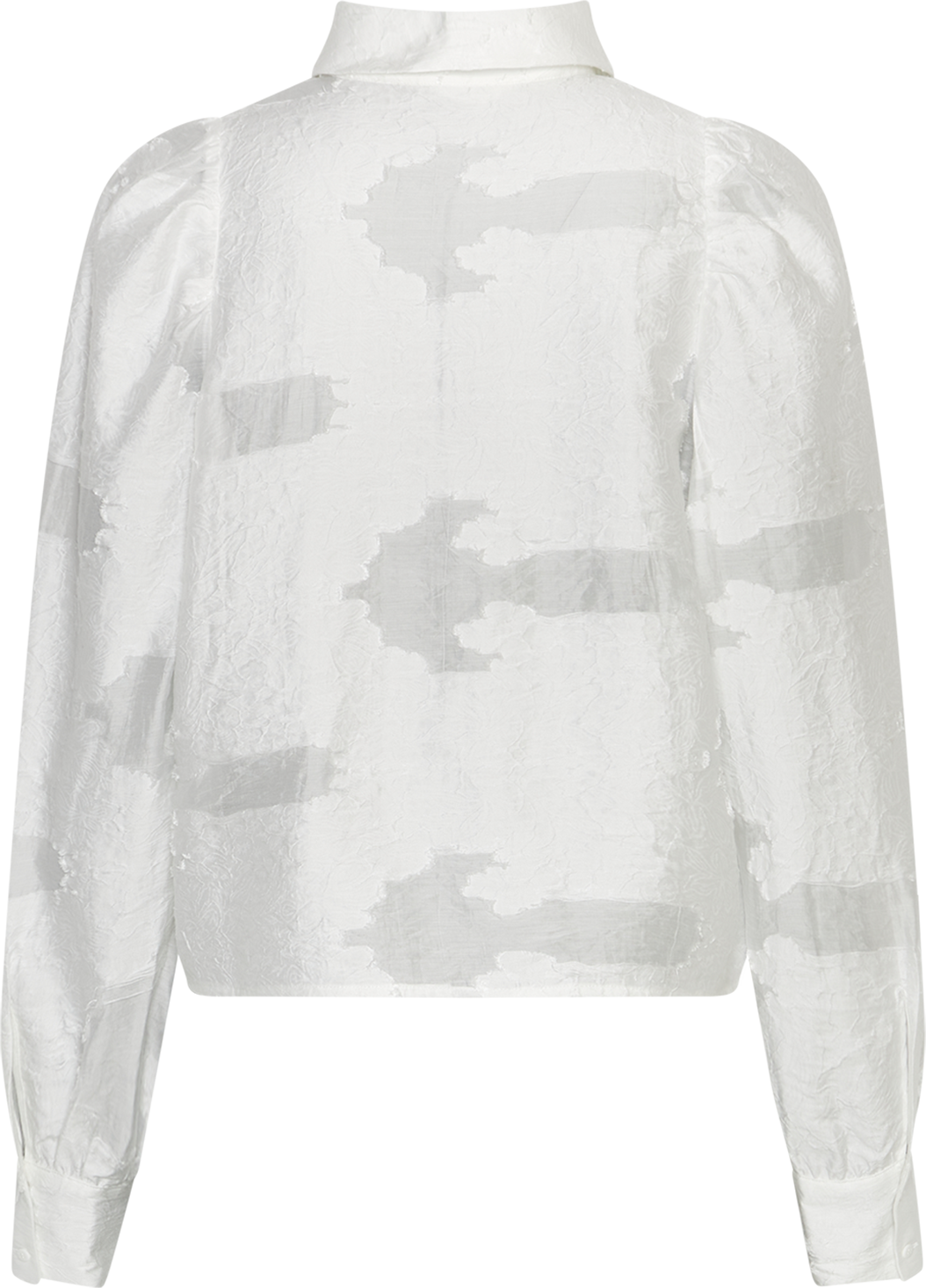 MSCHOrkidea Shirt – Egret, back