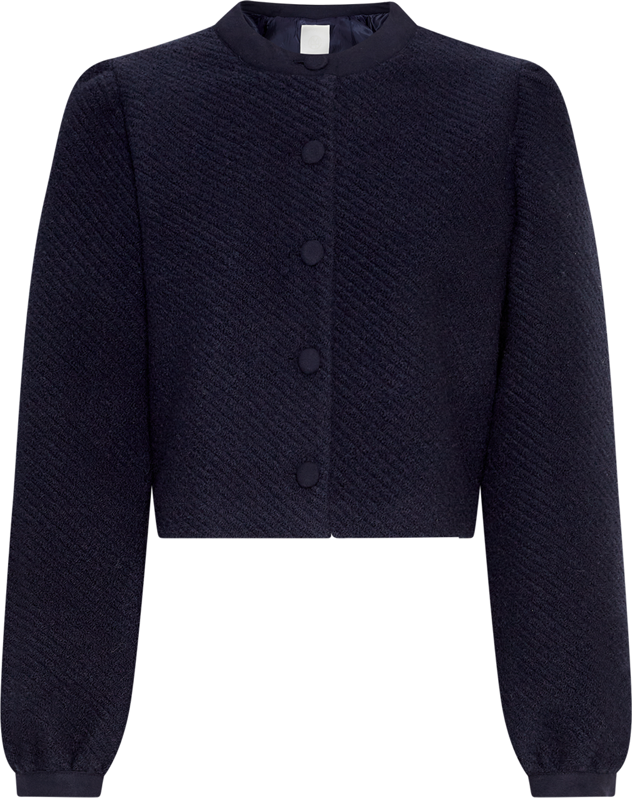 MSCHDazzle Jacket